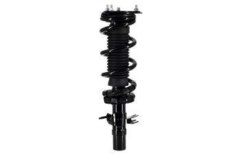 Suspension Strut and Coil Spring Assembly