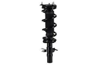 Suspension Strut and Coil Spring Assembly