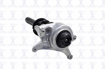 Suspension Strut and Coil Spring Assembly