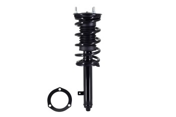 Suspension Strut and Coil Spring Assembly