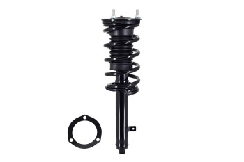 Suspension Strut and Coil Spring Assembly