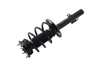 Suspension Strut and Coil Spring Assembly