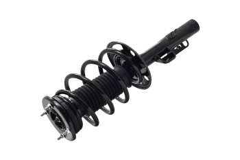 Suspension Strut and Coil Spring Assembly