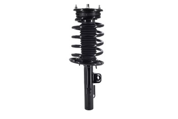 Suspension Strut and Coil Spring Assembly