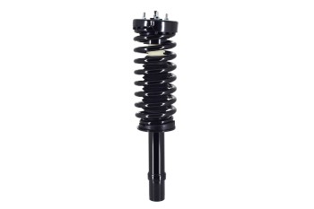 Suspension Strut and Coil Spring Assembly