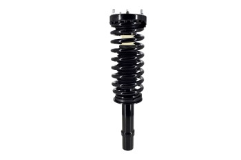 Suspension Strut and Coil Spring Assembly