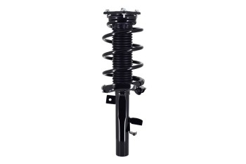 Suspension Strut and Coil Spring Assembly