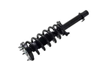 Suspension Strut and Coil Spring Assembly