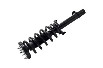 Suspension Strut and Coil Spring Assembly