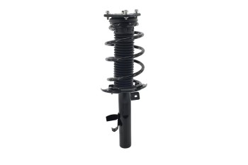 Suspension Strut and Coil Spring Assembly