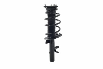Suspension Strut and Coil Spring Assembly