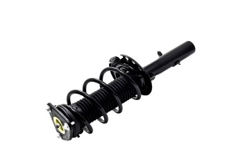Suspension Strut and Coil Spring Assembly