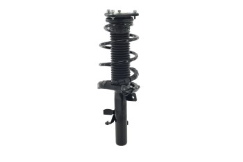 Suspension Strut and Coil Spring Assembly