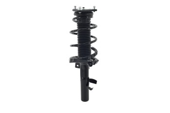 Suspension Strut and Coil Spring Assembly