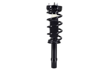 Suspension Strut and Coil Spring Assembly