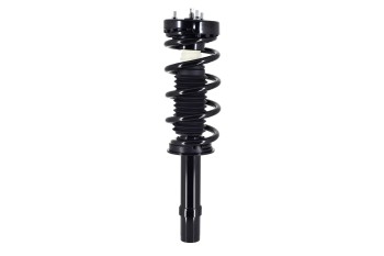 Suspension Strut and Coil Spring Assembly