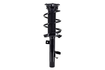 Suspension Strut and Coil Spring Assembly
