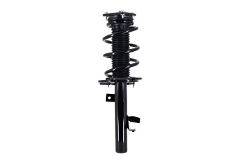 Suspension Strut and Coil Spring Assembly
