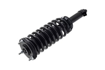 Suspension Strut and Coil Spring Assembly