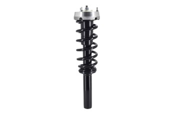 Suspension Strut and Coil Spring Assembly