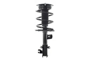 Suspension Strut and Coil Spring Assembly