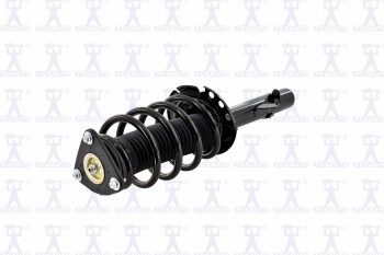 Suspension Strut and Coil Spring Assembly