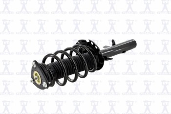 Suspension Strut and Coil Spring Assembly