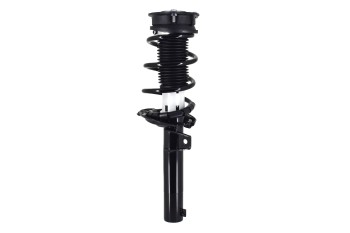 Suspension Strut and Coil Spring Assembly