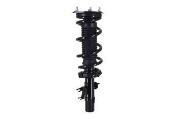 Suspension Strut and Coil Spring Assembly