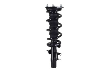 Suspension Strut and Coil Spring Assembly