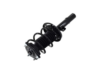 Suspension Strut and Coil Spring Assembly