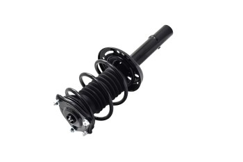 Suspension Strut and Coil Spring Assembly