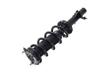 Suspension Strut and Coil Spring Assembly