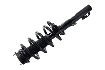 Suspension Strut and Coil Spring Assembly