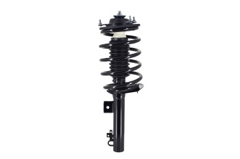 Suspension Strut and Coil Spring Assembly