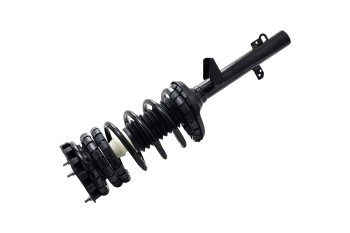 Suspension Strut and Coil Spring Assembly