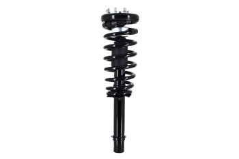 Suspension Strut and Coil Spring Assembly