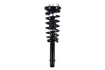 Suspension Strut and Coil Spring Assembly