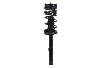 Suspension Strut and Coil Spring Assembly