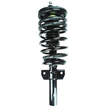 Suspension Strut and Coil Spring Assembly