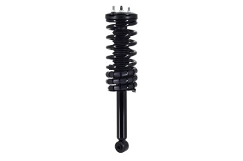 Suspension Strut and Coil Spring Assembly
