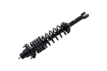 Suspension Strut and Coil Spring Assembly