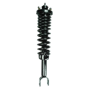 Suspension Strut and Coil Spring Assembly