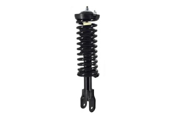 Suspension Strut and Coil Spring Assembly