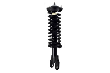 Suspension Strut and Coil Spring Assembly