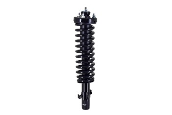 Suspension Strut and Coil Spring Assembly