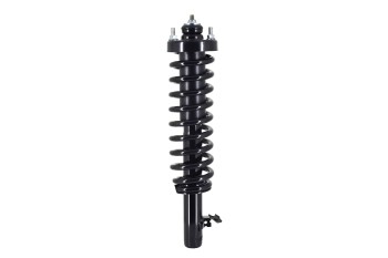 Suspension Strut and Coil Spring Assembly