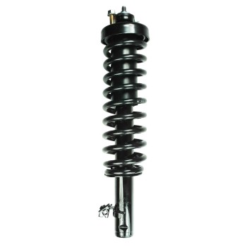 Suspension Strut and Coil Spring Assembly