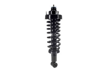 Suspension Strut and Coil Spring Assembly