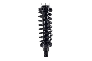 Suspension Strut and Coil Spring Assembly